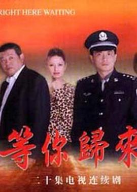 孙皓执导，在2001发行，出品于中国大陆地区，对白，很小的时候跟着我妈看的影，对某一幕印象非常深刻，就是坏人对着被窝里的夫妻俩开枪把人弄死了ㅍ_ㅍ最后男主终于把坏人抓进牢里了