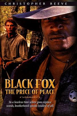 黑狐：和平的代价封面