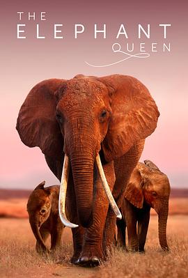 大象女王封面